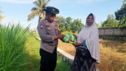 Bhabinkamtibmas Karang Bongkot Bergerak Nyata, Kawal Ketahanan Pangan Nasional Melalui Budidaya Jagung