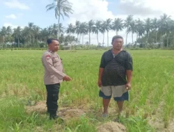 Transformasi Pekarangan Jadi Sumber Pangan, Langkah Strategis Polri Dampingi Petani di Kabupaten Lombok Barat