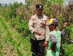 Perkuat Kedaulatan Pangan, Polsek Labuapi Dampingi Petani Optimalkan Lahan Pekarangan Warga
