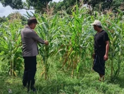 Bhabinkamtibmas Karang Bongkot Intensifkan Pendampingan Sektor Pertanian Guna Percepat Swasembada Pangan