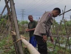 Lahan Sempit Jadi Produktif: Cara Polsek Labuapi Gerakkan Warga Kuranji Dalang Mandiri Pangan