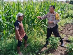 Bhabinkamtibmas Bagik Polak Barat Pacu Ketahanan Pangan