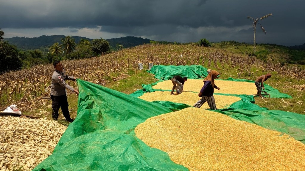 Sukseskan Program Asta Cita, Polsek Sekotong Sasar Petani