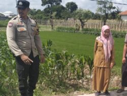 Transformasi Pekarangan Warga di Desa Labuapi: Polisi Ajak Masyarakat Sulap Lahan Tidur Jadi Produktif