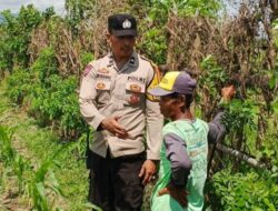 Bhabinkamtibmas Labuapi Ajak Warga Mandiri Pangan