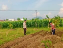 Bhabinkamtibmas Karang Bongkot Dorong Ketahanan Pangan