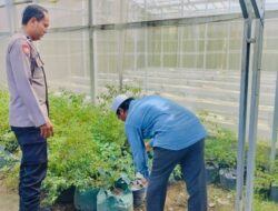 Polsek Labuapi Dorong Ketahanan Pangan Lewat Pekarangan Rumah