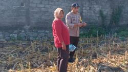 Cara Polres Lombok Barat Hidupkan Lahan Tidur Demi Perkuat Ketahanan Pangan Warga