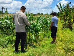 Bhabinkamtibmas Labuapi Sulap Lahan Tidur Jadi Produktif