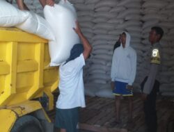 Langkah Nyata Ketahanan Pangan Nasional: Kelompok Tani Lombok Barat Mulai Pasok Jagung ke Bulog
