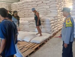 Pastikan Kualitas Terbaik, Polisi Dampingi Pengiriman 22 Ton Jagung Desa Kebon Ayu Menuju Gudang Bulog