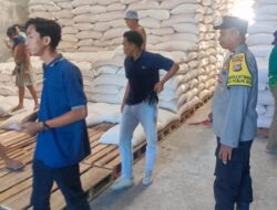 Kadar Air Sempurna! Puluhan Ton Jagung Lombok Barat Resmi Masuk Gudang Bulog dengan Pengawalan Polri