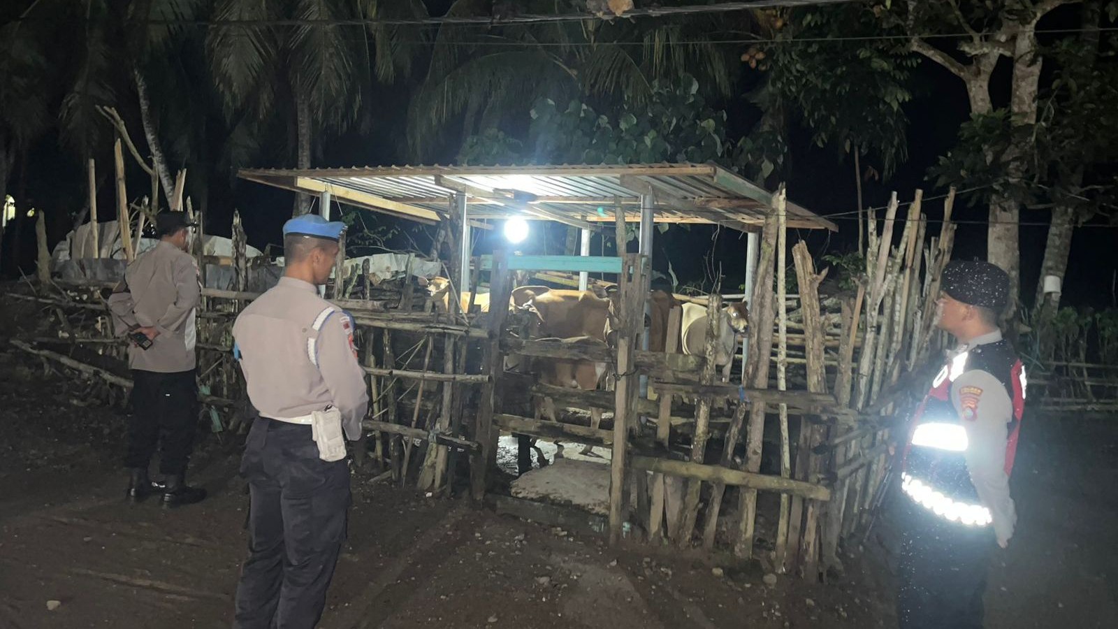 Polsek Sekotong Patroli Malam Cegah Pencurian Sapi