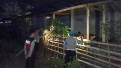 Polsek Sekotong Tekan Kasus Pencurian Ternak Sapi di Lombok