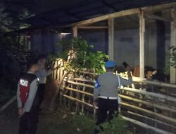 Antisipasi Pencurian Ternak Sapi, Polisi Sasar Kandang Kumpul