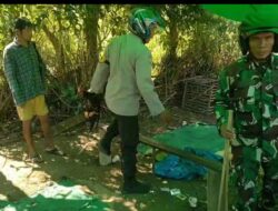 Grebek Arena Judi Sabung Ayam, Bhabinkamtibmas Polsubsektor Palibelo Bakar Alat Peraga Judi
