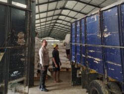 Kawal Distribusi ke Bulog, Harga Jagung Stabil