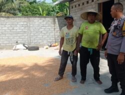 Polsek Labuapi Dorong Ketahanan Pangan Desa Kuranji Melalui Jagung