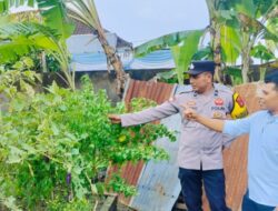 Wujudkan Ketahanan Pangan Nasional, Polisi di Labuapi Jemput Bola Motivasi Masyarakat Tanam Komoditas Hortikultura di Desa