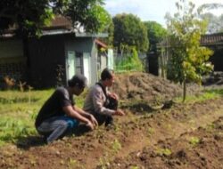 Dukung Ketahanan Pangan Nasional, Polsek Batulayar Motivasi Warga Senteluk Manfaatkan Setiap Jengkal Tanah