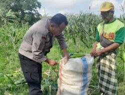 Bhabinkamtibmas Labuapi Motivasi Petani Manfaatkan Pekarangan