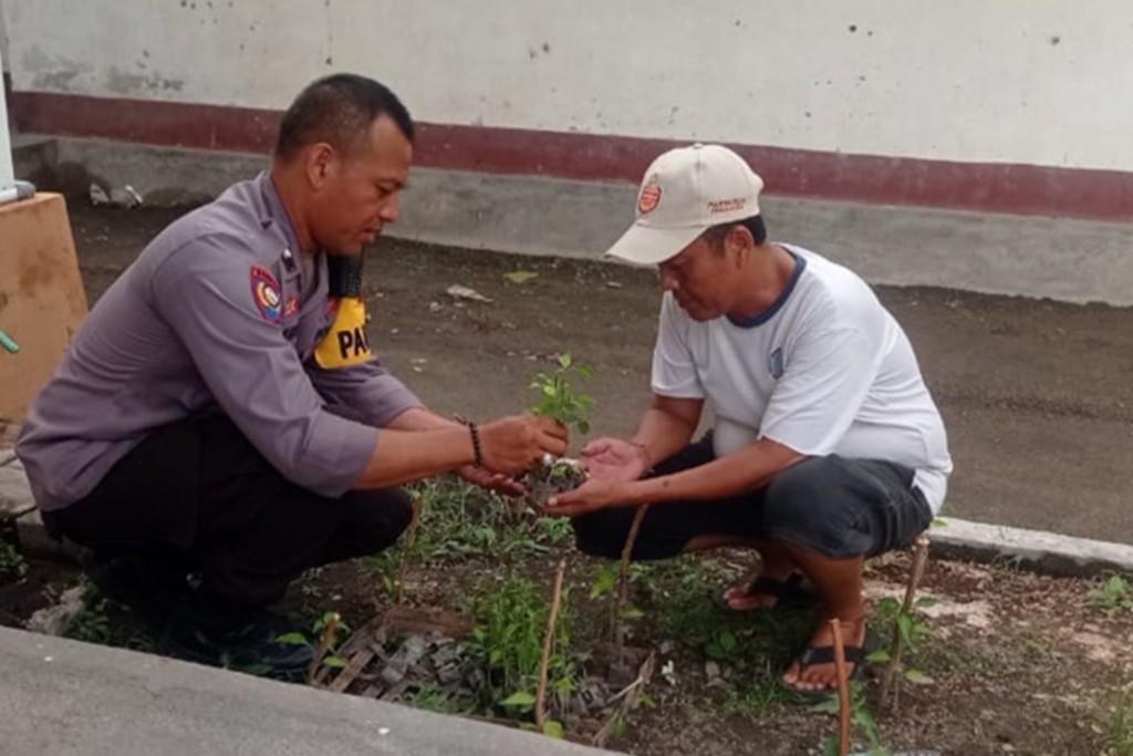 Dukung Swasembada Pangan, Polsek Labuapi Dampingi Petani Cabai