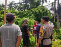Bhabinkamtibmas Lombok Barat Edukasi Warga Soal Ketahanan Pangan