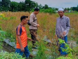 Polsek Labuapi Dorong Kemandirian Pangan Lewat Pekarangan Bergizi