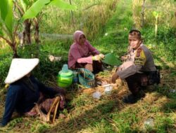 Bhabinkamtibmas Terong Tawah Pantau Lahan Bergizi dan Harga Pokok