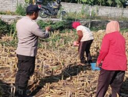 Bhabinkamtibmas Polsek Labuapi Gerakkan Ketahanan Pangan di Karang Bongkot