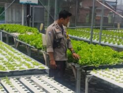 Sinergi Polsek Labuapi dan Warga Bengkel Wujudkan Pekarangan Bergizi