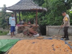 Sinergi Polsek Labuapi dan Petani Perkuat Ketahanan Pangan