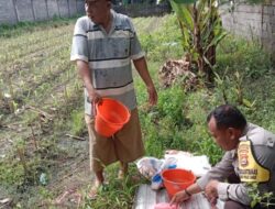 Polsek Labuapi Dorong Warga Manfaatkan Lahan Pekarangan