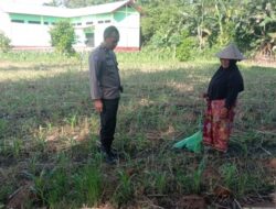 Bhabinkamtibmas Lombok Barat Edukasi Petani Kuranji Genjot Produktivitas Pangan