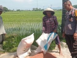 Sinergi Polsek Labuapi Dukung Swasembada Pangan di Desa