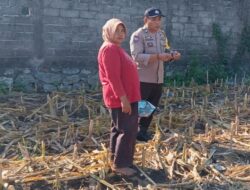 Cara Polsek Labuapi Perkuat Ketahanan Pangan dan Kamtibmas