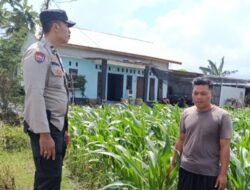 Cara Polsek Labuapi Wujudkan Mandiri Pangan