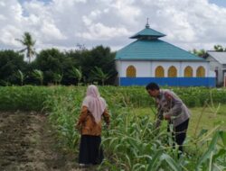 Dukung Ketahanan Pangan, Polsek Labuapi Edukasi Warga Desa