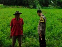 Polsek Labuapi Apresiasi Inisiatif Warga Desa Bengkel yang Sukses Bangun Ketahanan Pangan dari Rumah