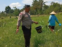 Bhabinkamtibmas Merembu Dorong Warga Perkuat Ketahanan Pangan