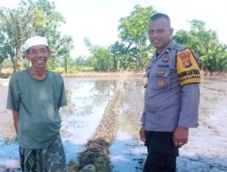 Cara Bhabinkamtibmas Desa Kuranji Wujudkan Swasembada Pangan