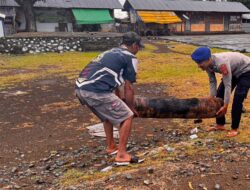 “Polisi Peduli” Satpolairud Polres Bima Kabupaten Bersama Warga Bersihkan Tumpukan Sampah di Dermaga Tradisional Bajo