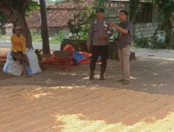 Polri Dukung Astacita, Polsek Semanding Polres Tuban Turun Cek Tanaman jagung milik Warga di Desa Prunggahan kulon