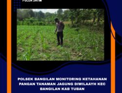 Polri Dukung Astacita, Polsek Bangilan Polres Tuban Turun Cek Tanaman Jagung Warga di Desa Banjarworo