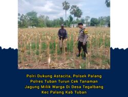 Polri Dukung Astacita, Polsek Palang Polres Tuban Turun Cek Tanaman jagung milik Warga di Desa Tegalbang