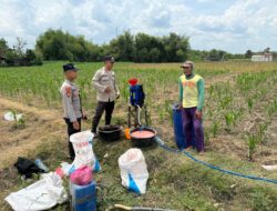 Anggota Unit Binmas Polsek Senori Polres Tuban Membantu Proses Pemupukan Tanaman Jagung Warga Desa Jatisari