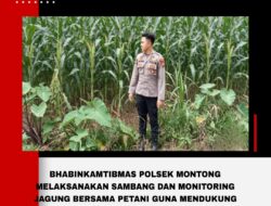 Polsek Montong Polres Tuban Turun Cek Tanaman jagung Warga di Desa Pakel