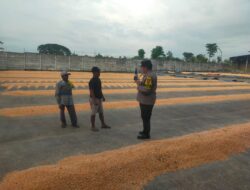 Polsek Kerek Sambang Gudang Jagung Desa Binaan, Dukung Program Swasembada Pangan