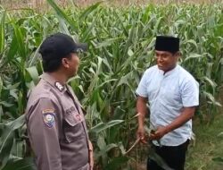 Polsek Grabagan polres Tuban Polda Jawa Timur Dukung Penuh Swasembada Pangan Presiden Prabowo Melalui Pendampingan Petani