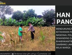 Polri Dukung Astacita, Polsek Semanding Polres Tuban Turun Cek Tanaman jagung milik Warga di Desa Bektiharjo
